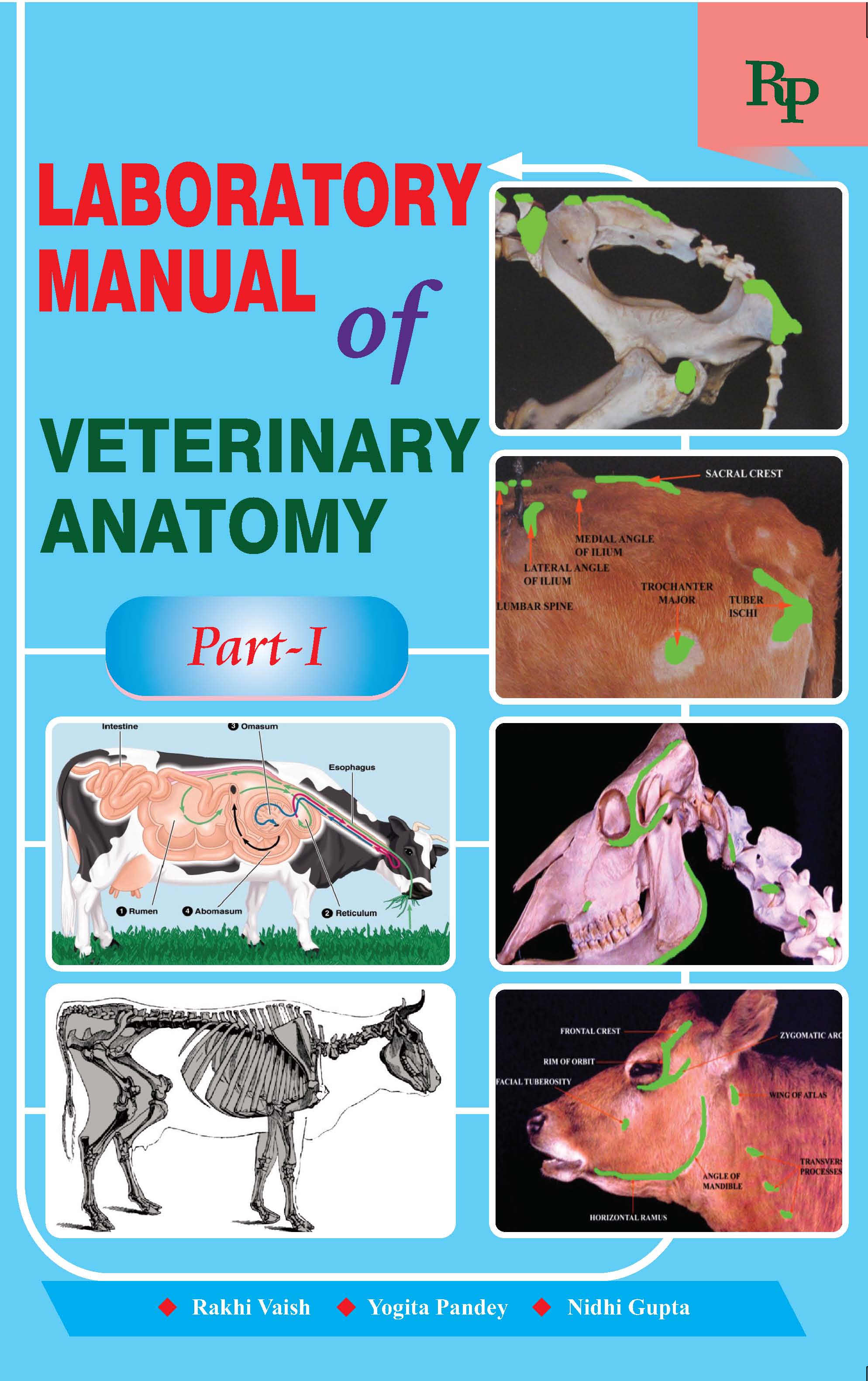 Laboratory Manual of Veterinary Anatomy